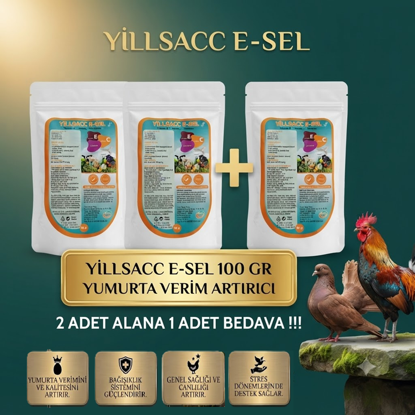 YILSAC EVİTSEL C 100 GR X 2 ADET ALANA + (1 ADET HEDİYE )